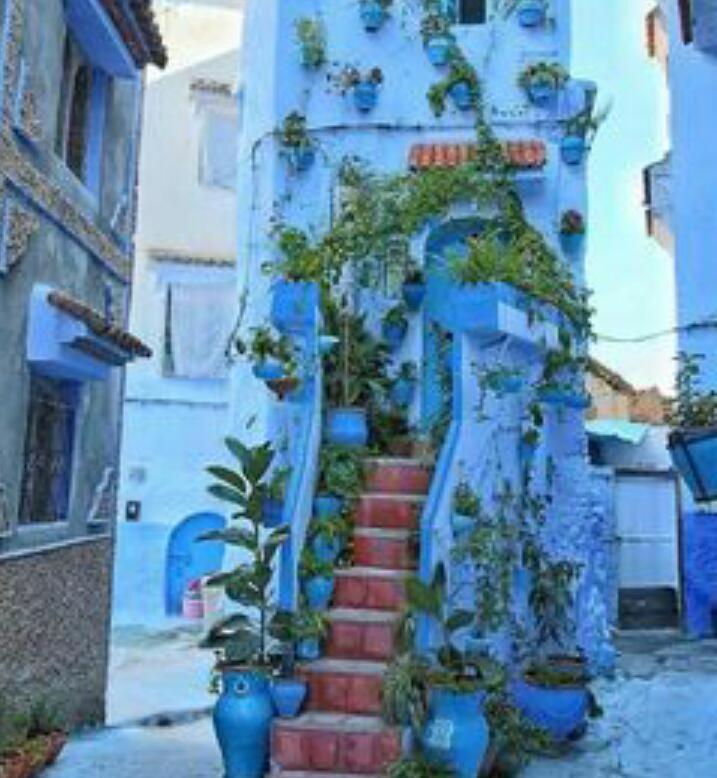 Casa Dreams Chaouen Διαμέρισμα Chefchaouen Εξωτερικό φωτογραφία