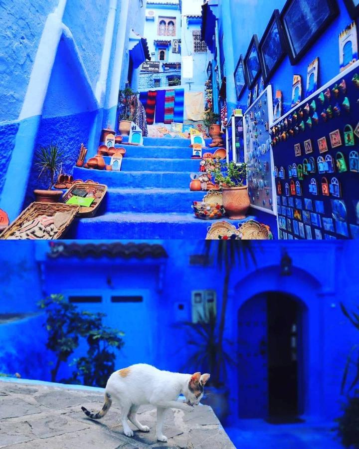 Casa Dreams Chaouen Διαμέρισμα Chefchaouen Εξωτερικό φωτογραφία